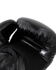 Thai boxing PRO package