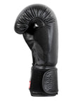 Thai boxing PRO package