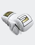 HMIT MMA Training Gloves